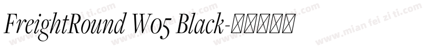FreightRound W05 Black字体转换